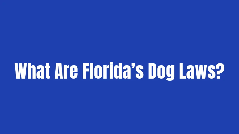 What Are Florida’s Dog Laws?