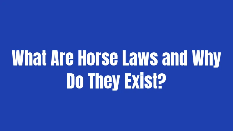 What Are Horse Laws and Why Do They Exist?