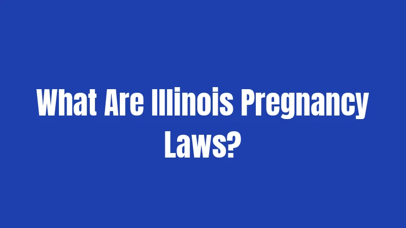 What Are Illinois Pregnancy Laws?