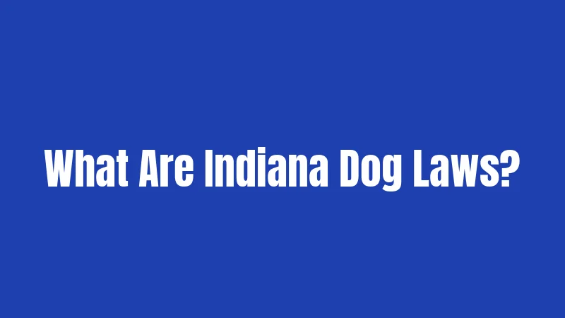 What Are Indiana Dog Laws?