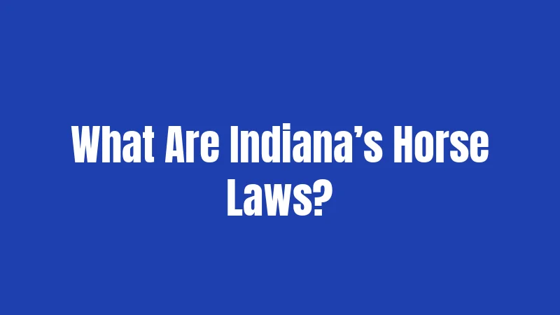 What Are Indiana’s Horse Laws?