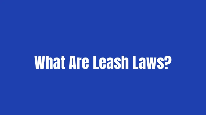 What Are Leash Laws?