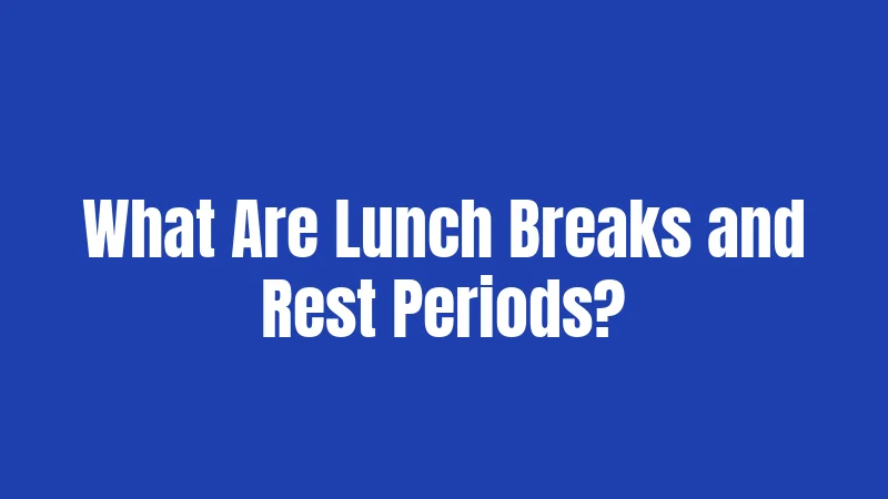 What Are Lunch Breaks and Rest Periods?