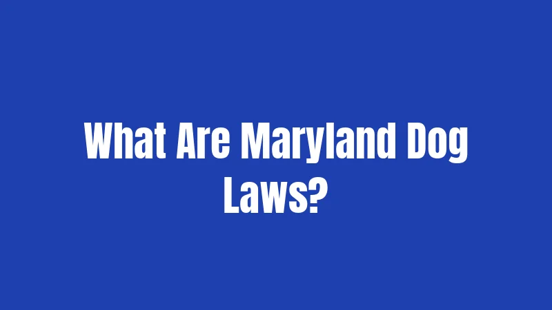 What Are Maryland Dog Laws?