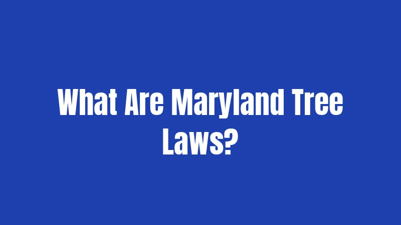 What Are Maryland Tree Laws?