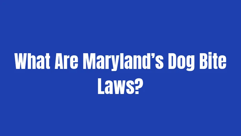 What Are Maryland’s Dog Bite Laws?