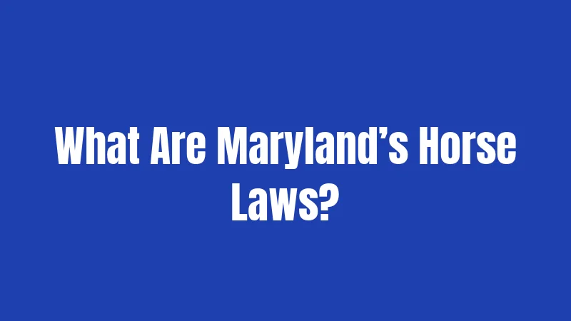 What Are Maryland’s Horse Laws?