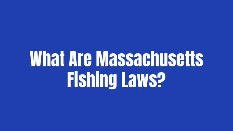 What Are Massachusetts Fishing Laws?