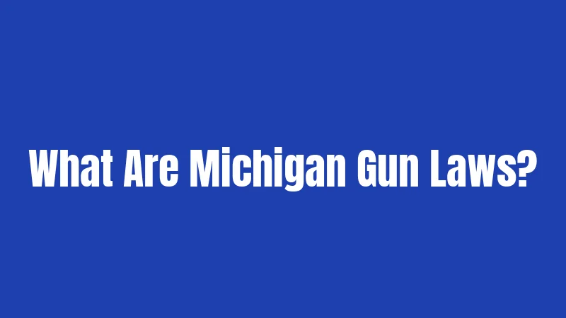 What Are Michigan Gun Laws?