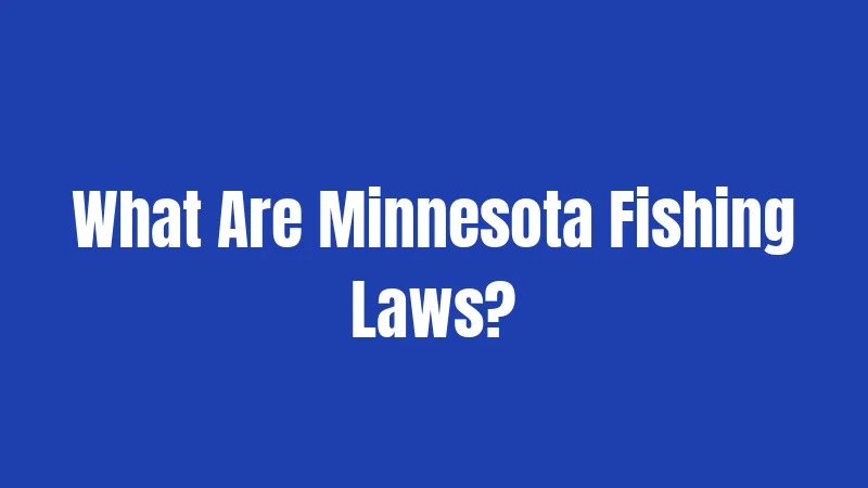 What Are Minnesota Fishing Laws?