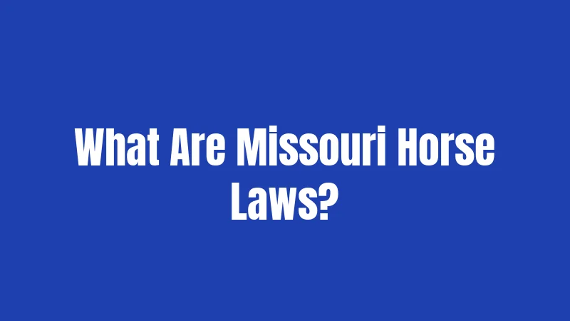 Horse Laws in Missouri (2026): Rules Every Owner Must Ride By 1 What Are Missouri Horse Laws?
