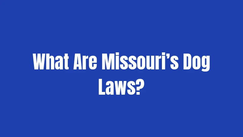 What Are Missouri’s Dog Laws?