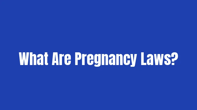 Pregnancy Laws in Indiana (2026): Rights Every Expectant Worker Should Know 1 What Are Pregnancy Laws?