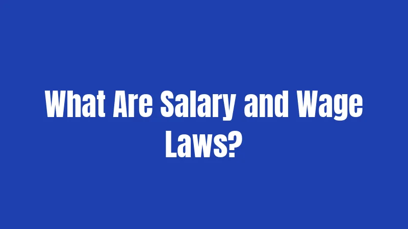 Texas Salary Laws in 2026: Your Complete Wage Protection Guide 1 What Are Salary and Wage Laws?