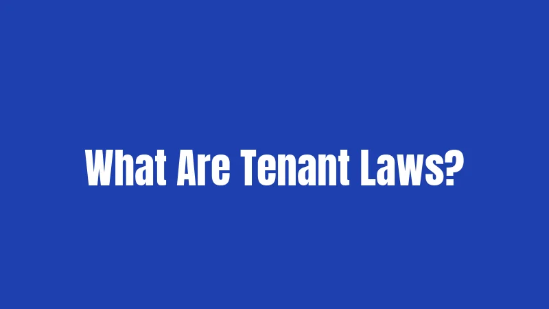 What Are Tenant Laws?