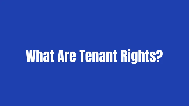 What Are Tenant Rights?