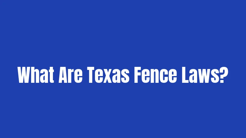What Are Texas Fence Laws?