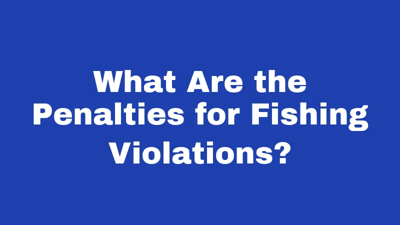 Fishing Laws in South Carolina (2026): Rules Every Angler Must Know 6 What Are the Penalties for Fishing Violations?
