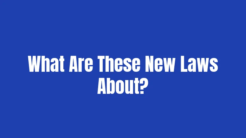What Are These New Laws About?