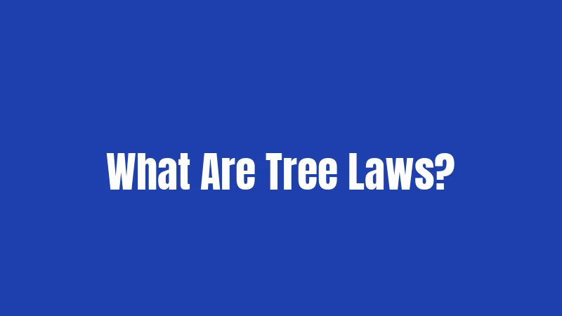 What Are Tree Laws?