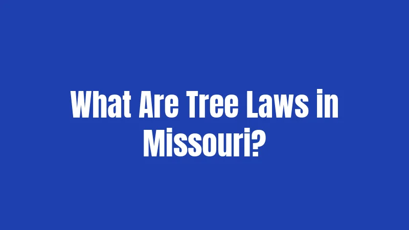 What Are Tree Laws in Missouri?