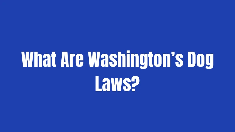 What Are Washington’s Dog Laws?
