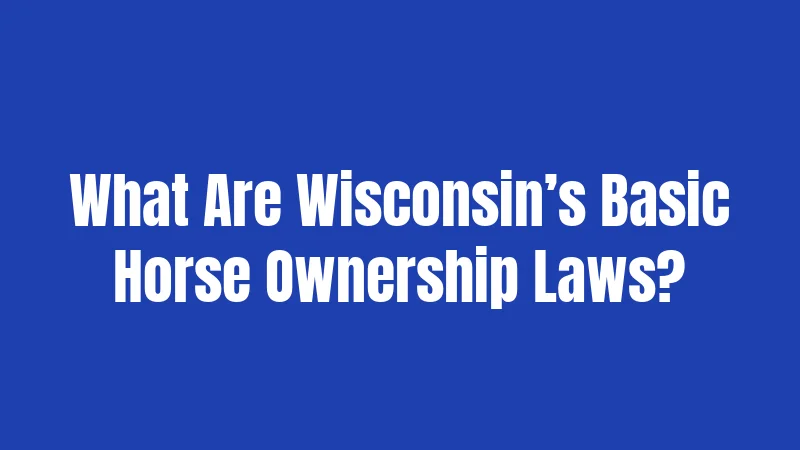 What Are Wisconsin’s Basic Horse Ownership Laws?