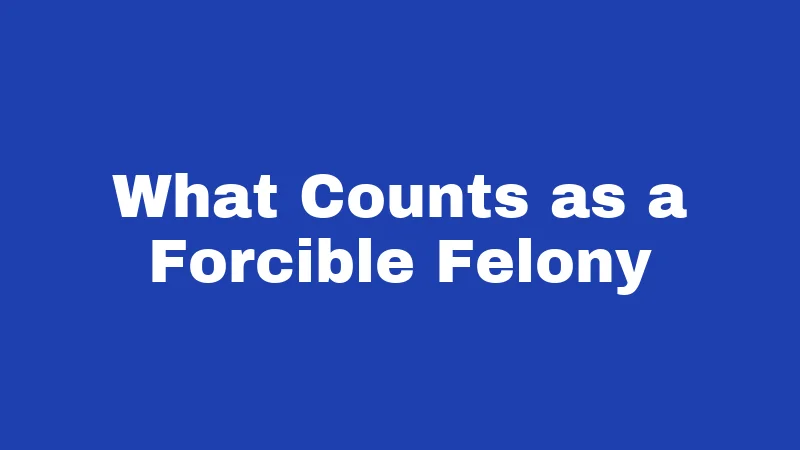 What Counts as a Forcible Felony