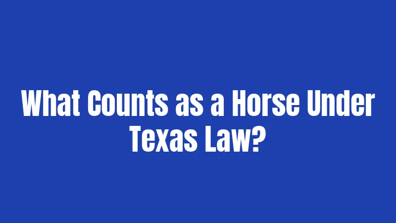 What Counts as a Horse Under Texas Law?