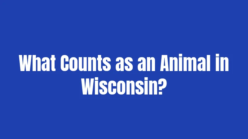 Animal Abuse Laws in Wisconsin (2026): Penalties Can Be Harsh 1 What Counts as an Animal in Wisconsin?