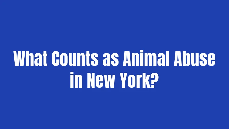 What Counts as Animal Abuse in New York?
