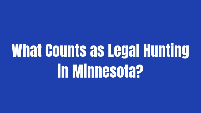 What Counts as Legal Hunting in Minnesota?