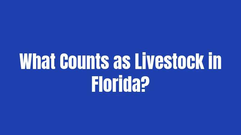 Florida Livestock Laws (2026): Fencing, Liability, and Your Legal Responsibilities 1 What Counts as Livestock in Florida?