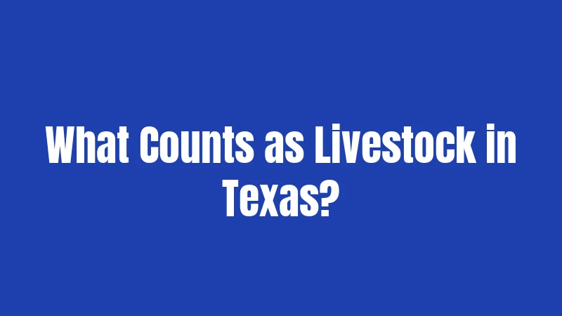 What Counts as Livestock in Texas?