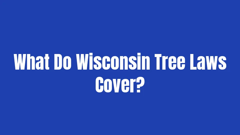 What Do Wisconsin Tree Laws Cover?