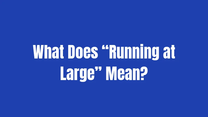 Leash Laws in Tennessee (2026): Your Dog, Your Responsibility 2 What Does “Running at Large” Mean?