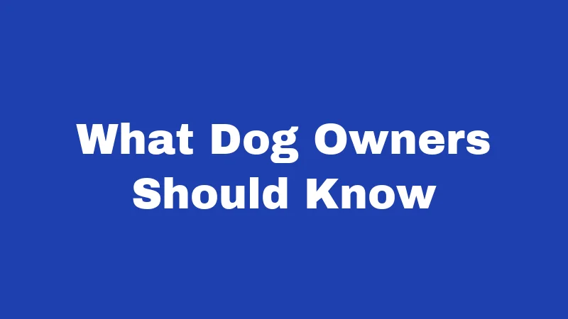 Dog Bite Laws in Connecticut (2026): Your Rights After an Attack 6 What Dog Owners Should Know