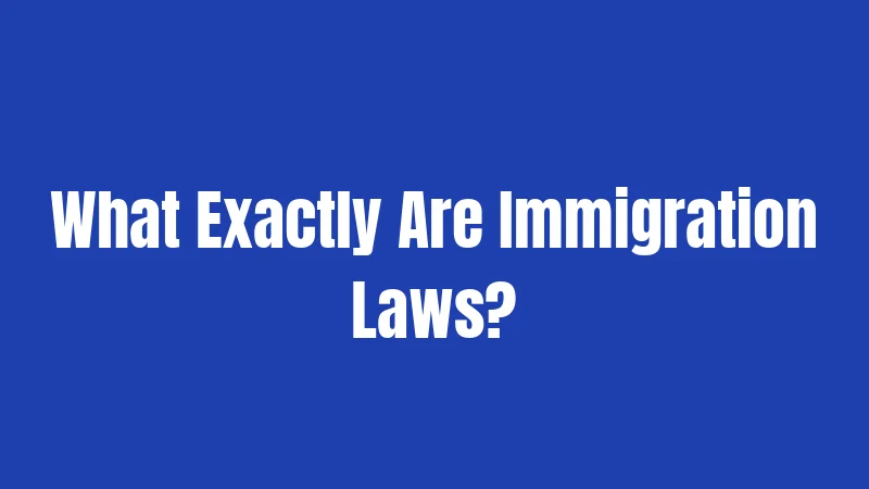What Exactly Are Immigration Laws?