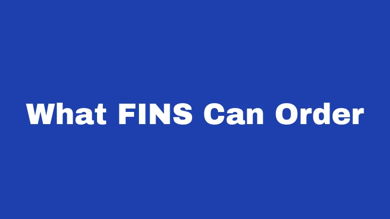 Runaway Laws in Louisiana (2026): What Teens and Parents Must Know 2 What FINS Can Order