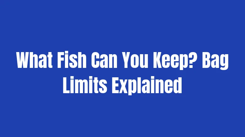 What Fish Can You Keep? Bag Limits Explained