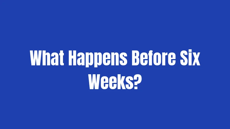 What Happens Before Six Weeks?