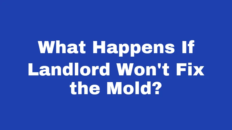 What Happens If Landlord Won't Fix the Mold?