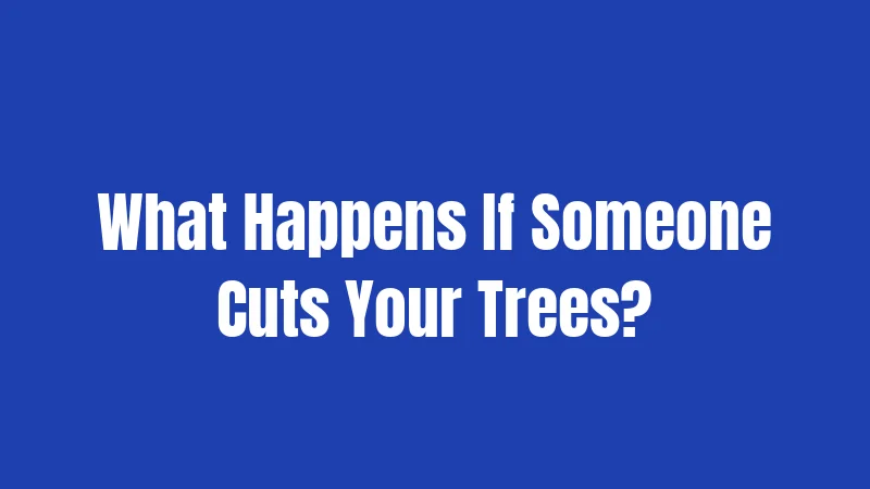 What Happens If Someone Cuts Your Trees?