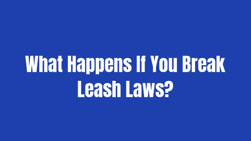 Texas Leash Laws in 2026: What Could Cost You $2,000 3 What Happens If You Break Leash Laws?
