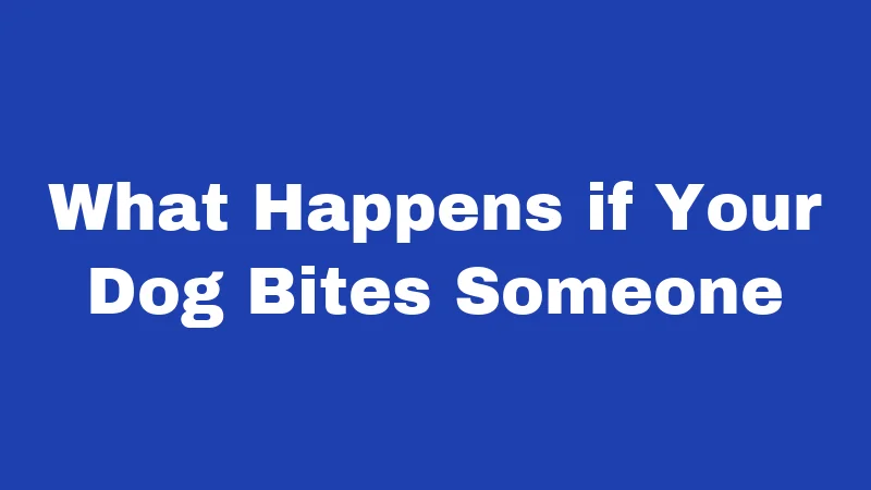 Dog Laws in Louisiana (2026): Rules Every Owner Must Follow 4 What Happens if Your Dog Bites Someone