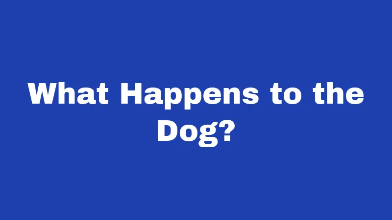What Happens to the Dog?