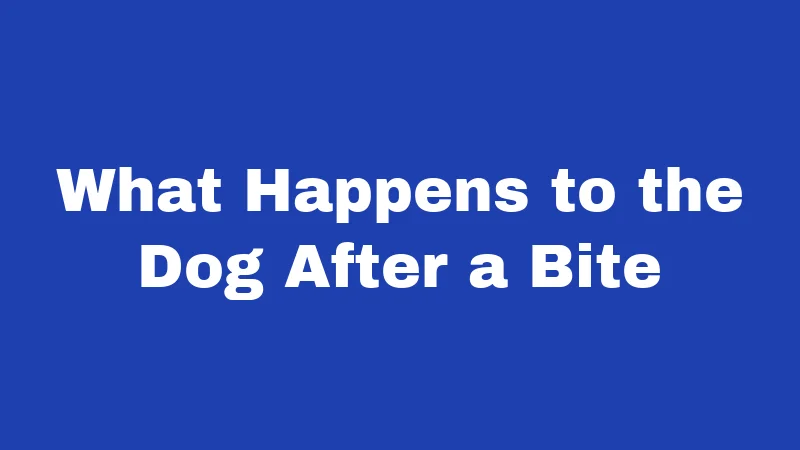 Dog Bite Laws in Iowa (2026): Strict Rules Made Simple 4 What Happens to the Dog After a Bite