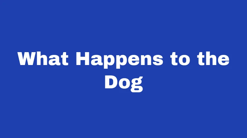 Dog Bite Laws in Alabama (2026): Your Rights After an Attack 4 What Happens to the Dog