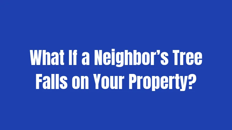 What If a Neighbor’s Tree Falls on Your Property?