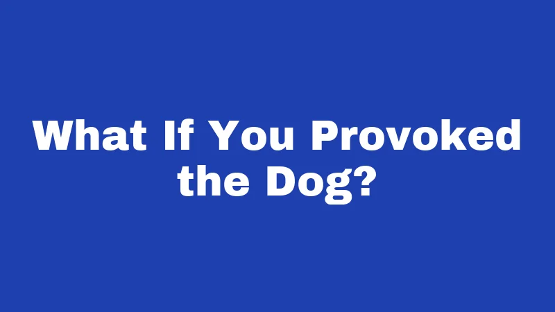 Dog Bite Laws in Kansas (2026): Know Before You Go Outside 4 What If You Provoked the Dog?